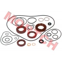 Oil Seal & O-Seal Ring Kit, Engine