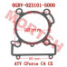 CFMoto Cylinder Body Gasket 0GRV-023101-5000 | CForce C4/C5 & GOES TERROX