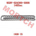 CFMoto Timing Chain Assy 0GRV-024300-5000 | CForce C5 & GOES TERROX
