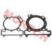 Genuine CFMoto cylinder gasket set for CForce C4 Touring/C4/C5 and GOES TERROX 550L/500L EPS 2026-2027. Includes head gasket and cylinder base gasket. Essential engine rebuild seal kit.