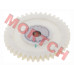 Oil Pump Gear - Model MICF0NYV-071003-1000