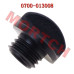 Oil Filling Plug - Model MICF0700-013008