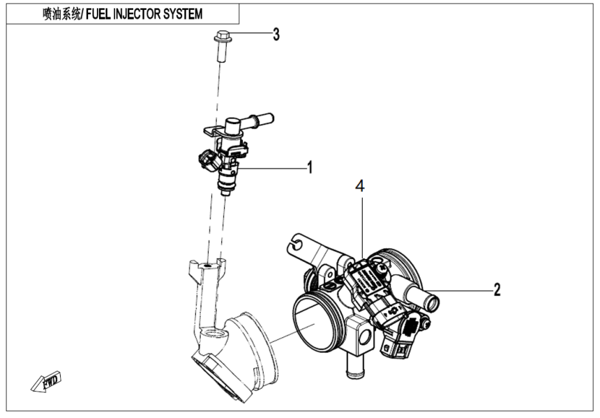 FUEL INJECTION SYSTEM