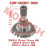 Driven Bevel Gear