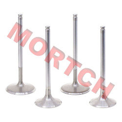 Intake & Exhaust Valve Intake & Exhaust Valve