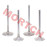 Intake & Exhaust Valve Intake & Exhaust Valve
