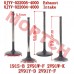 Intake & Exhaust Valve