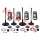 Intake & Exhaust Valve Assy Intake & Exhaust Valve Assy