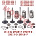 Intake & Exhaust Valve Assy