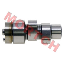 Cylinder 2 Camshaft Assy Cylinder 2 Camshaft Assy
