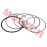 Piston Ring Kit Piston Ring Kit