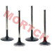 Intake & Exhaust Valve