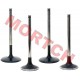 Intake & Exhaust Valve Intake & Exhaust Valve