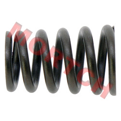 Valve Spring Valve Spring