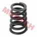 Valve Spring
