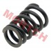 Valve Spring