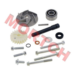 Water Pump Assy - Model MICF0JWV-08000A