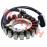 18 Pole Magneto Stator Coil for EPS, High-Power