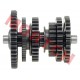 Countershaft Assy (2024- )