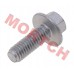 Bolt M6*1.0*17 LH