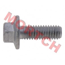 Bolt M6*1.0*17 LH