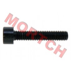 Inner Hex Screw M6x30