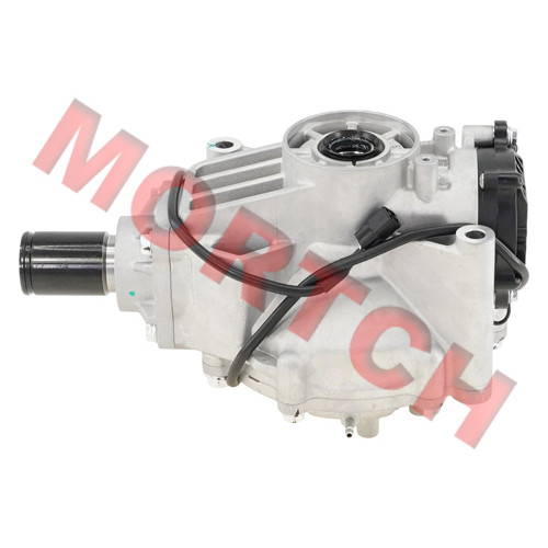 Front Gear Case Assy - Model MICFQ890-310000-30001