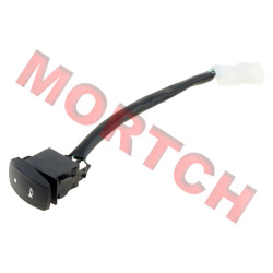 Horn Switch