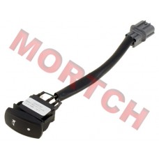 Horn Switch