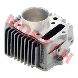 Cylinder Body - Model MICFL-120020007-0001