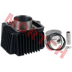 Cylinder Assy - Model MICFL-12002000A