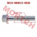 Bolt M6x30