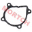 Water Pump Gasket