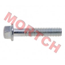 Bolt M6x30