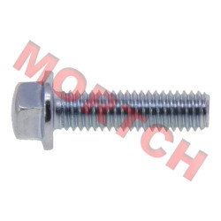 Bolt M6*1.0*22 Bolt M6*1.0*22