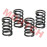 Valve Spring