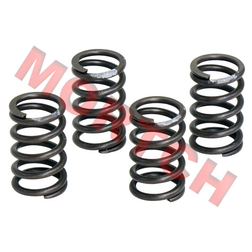 Valve Spring
