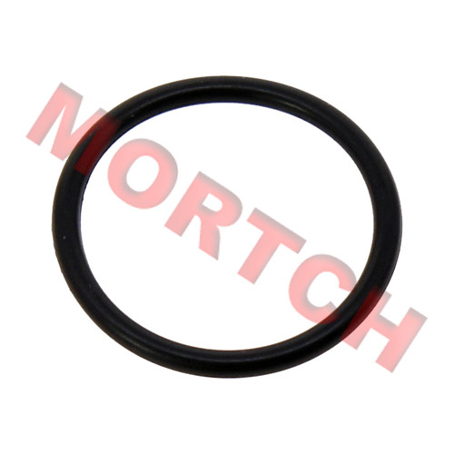 O-Ring 24x2.5 for Gear Position Sensor O-Ring 24x2.5 for Gear Position Sensor