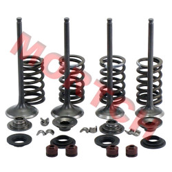 Inlet/Exhaust Valve Assy Inlet/Exhaust Valve Assy