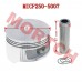 CF250 Water Cooled Piston
