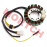 CF250 17 Pole Stator Coil