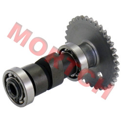 CF250 Camshaft CF250 Camshaft