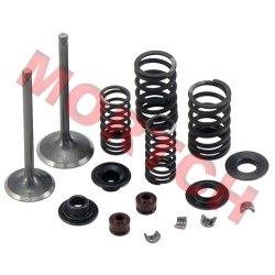 CF250 Inlet/Exhaust Valve Sets CF250 Inlet/Exhaust Valve Sets