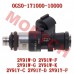 Fuel Injector Assy