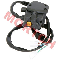 RH Handlebar Switch Assy