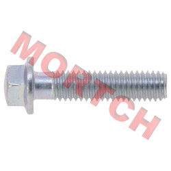 Bolt M6x25 Bolt M6x25