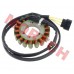18 Pole Magneto Stator Coil