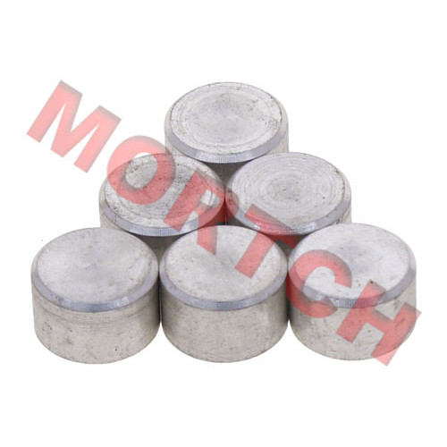 Roller Weight - Model MICF0GS0-051002