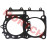 Cylinder Gasket