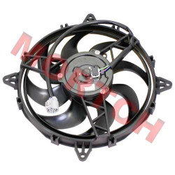Radiator Fan